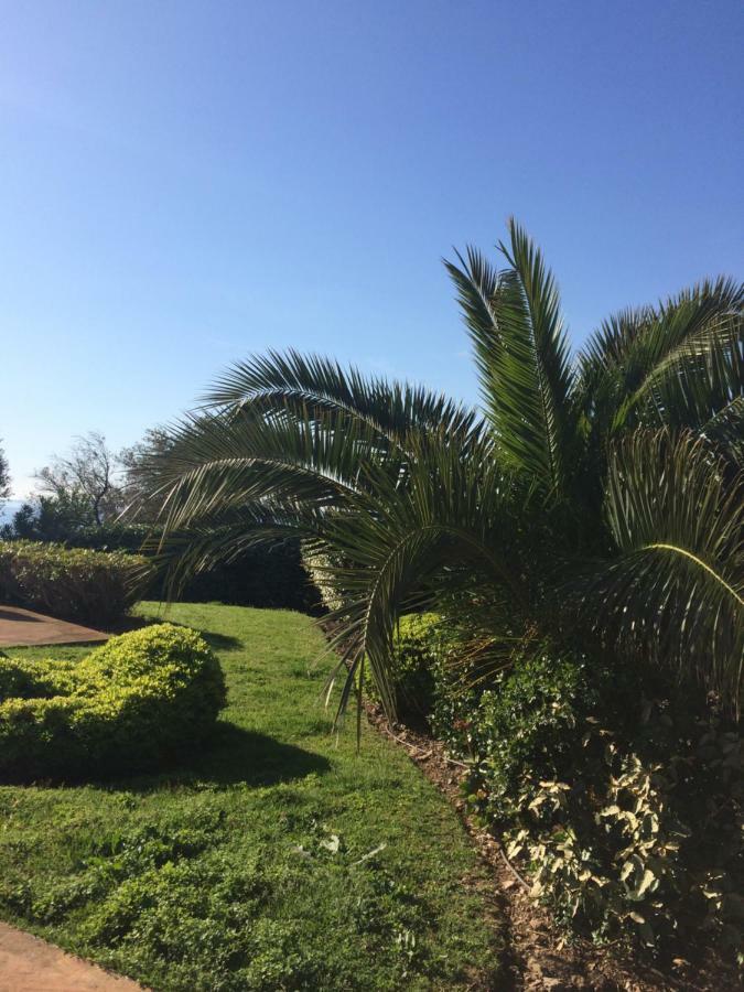 Jardins En Ville Bastia  Exterior photo